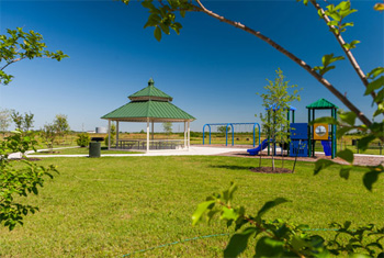 Community Playground and Trail System