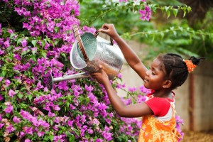 Girl Watering Purple Flowers